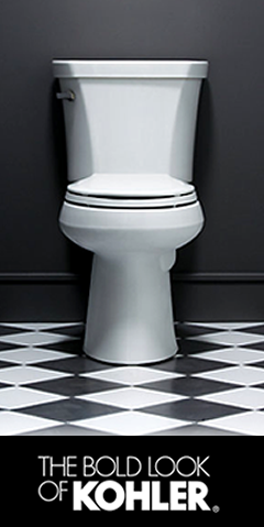 Vernon Hills  Toilet Plumbing and Repairs